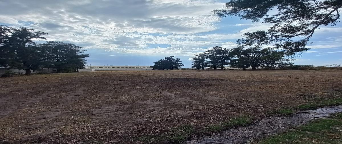 Foto de terreno industrial en renta en fraccionamiento tecnoindustrial , castro del río [parque tecnoindustrial], irapuato, guanajuato, 25037336 No. 04